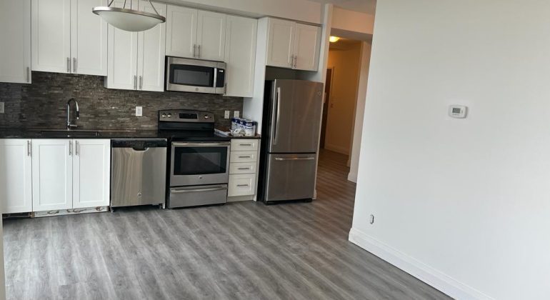 Home Renovation Project in Toronto